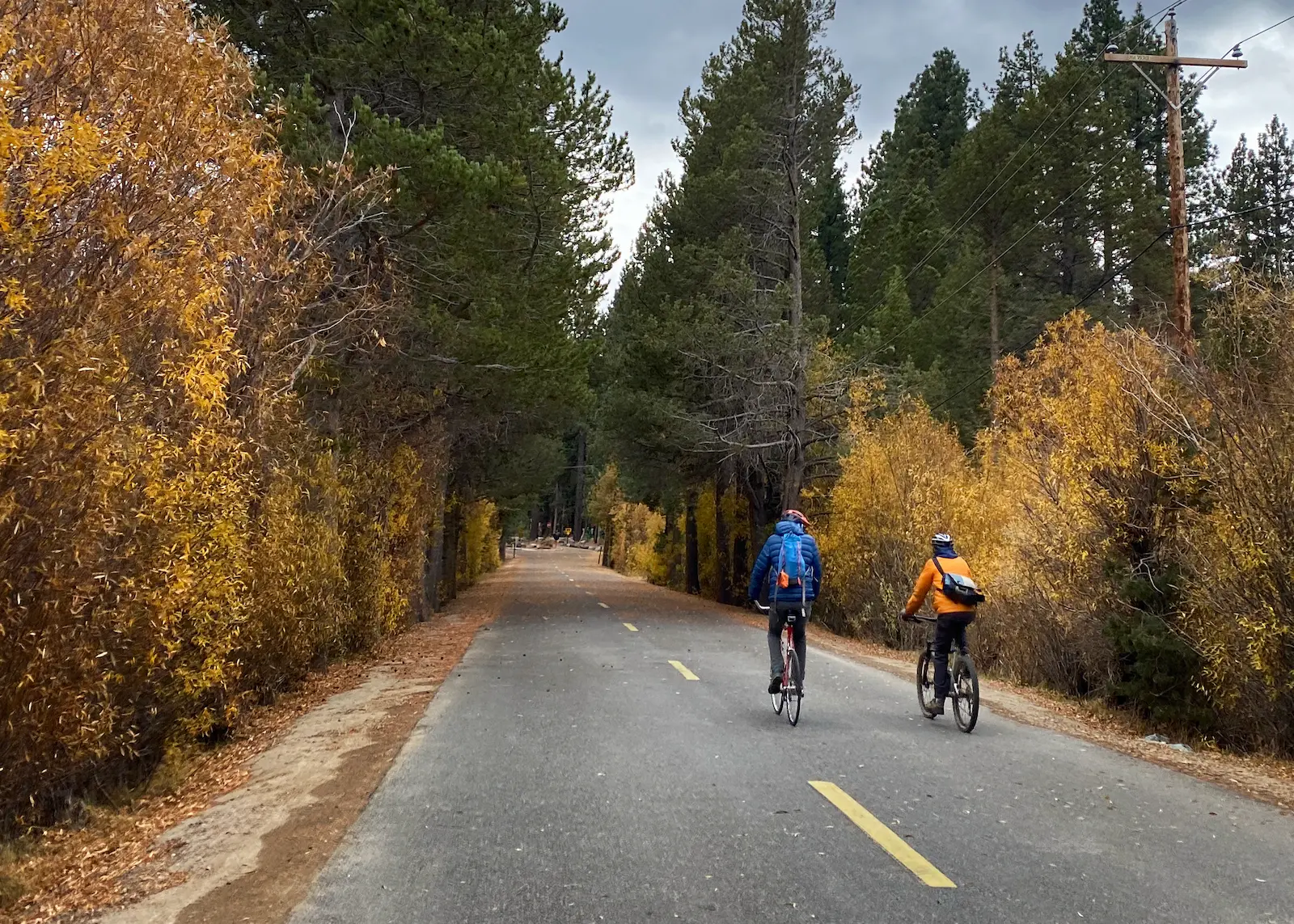 Two cyclists riding down a bike path surrounded by trees with yellow and orange leaves, and evergreens.