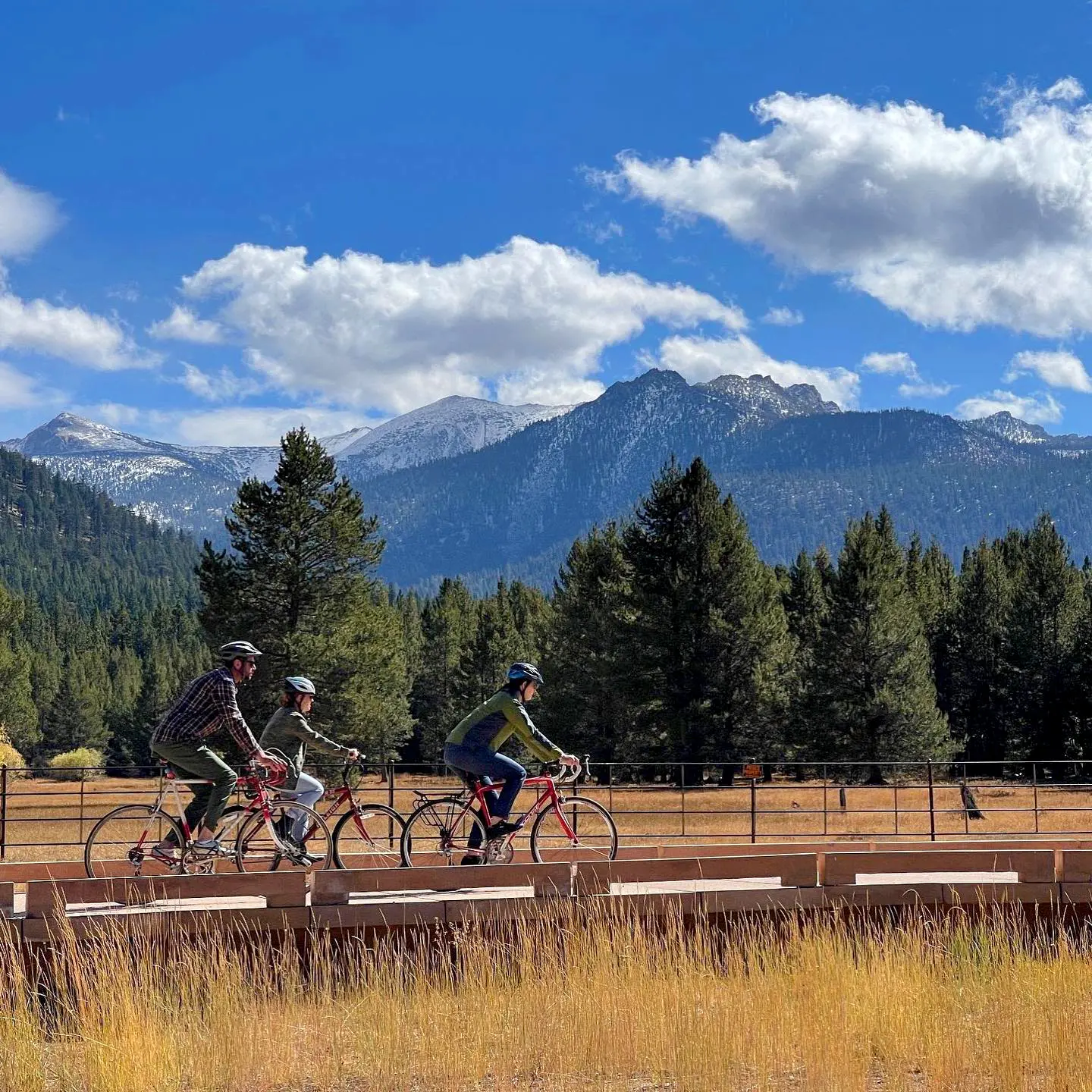 A cyclist riding a bike on the road with a large lake and small island in the distant background.