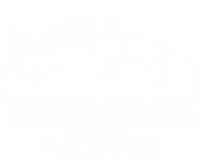 Sonny's BBQ
